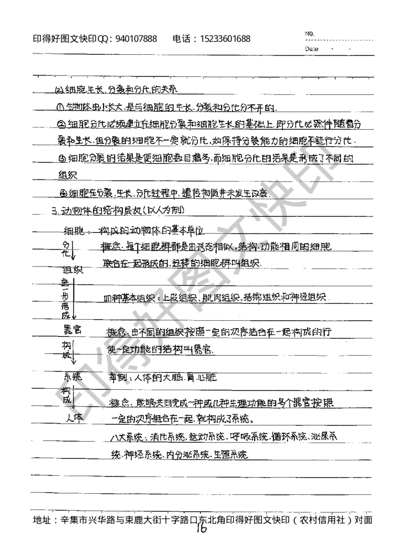 中考状元笔记生物_初中资料