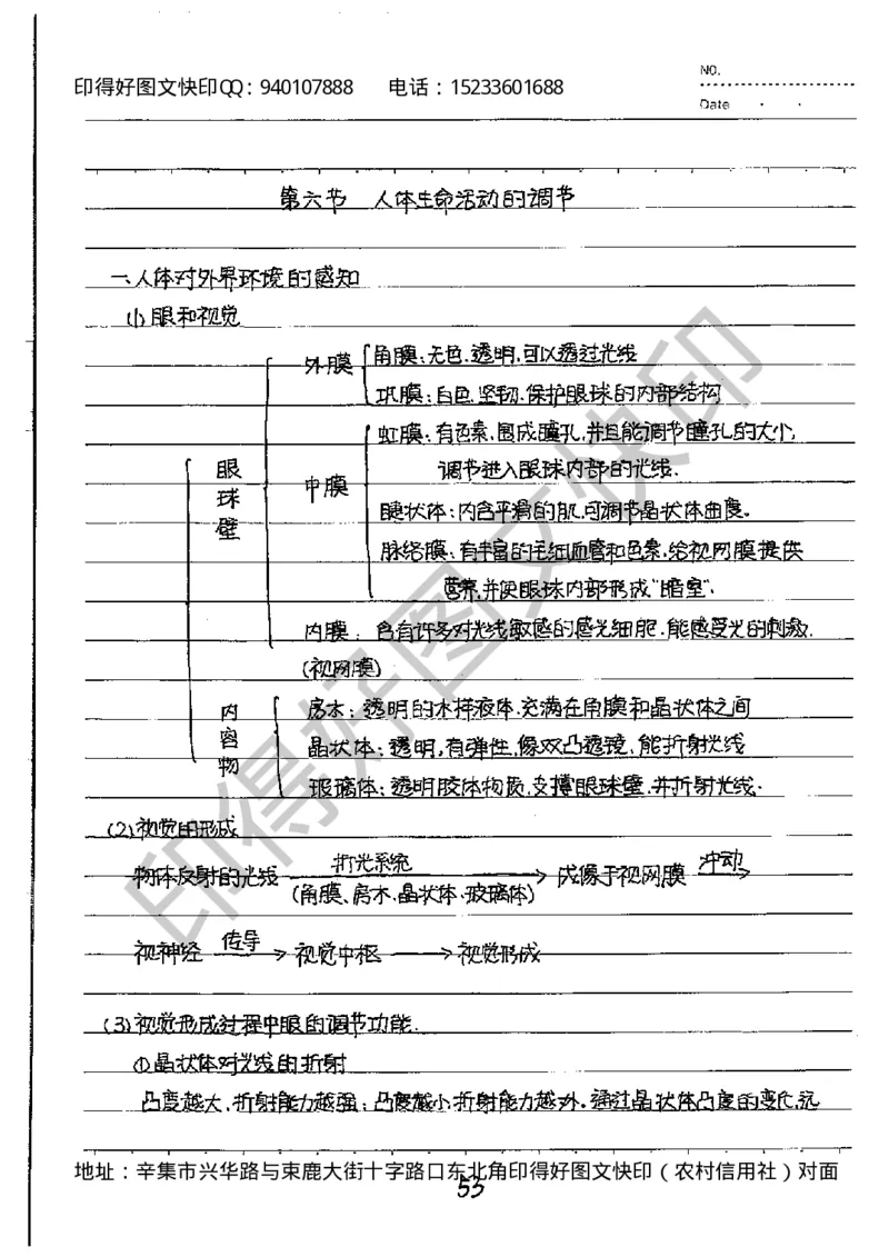 中考状元笔记生物_初中资料