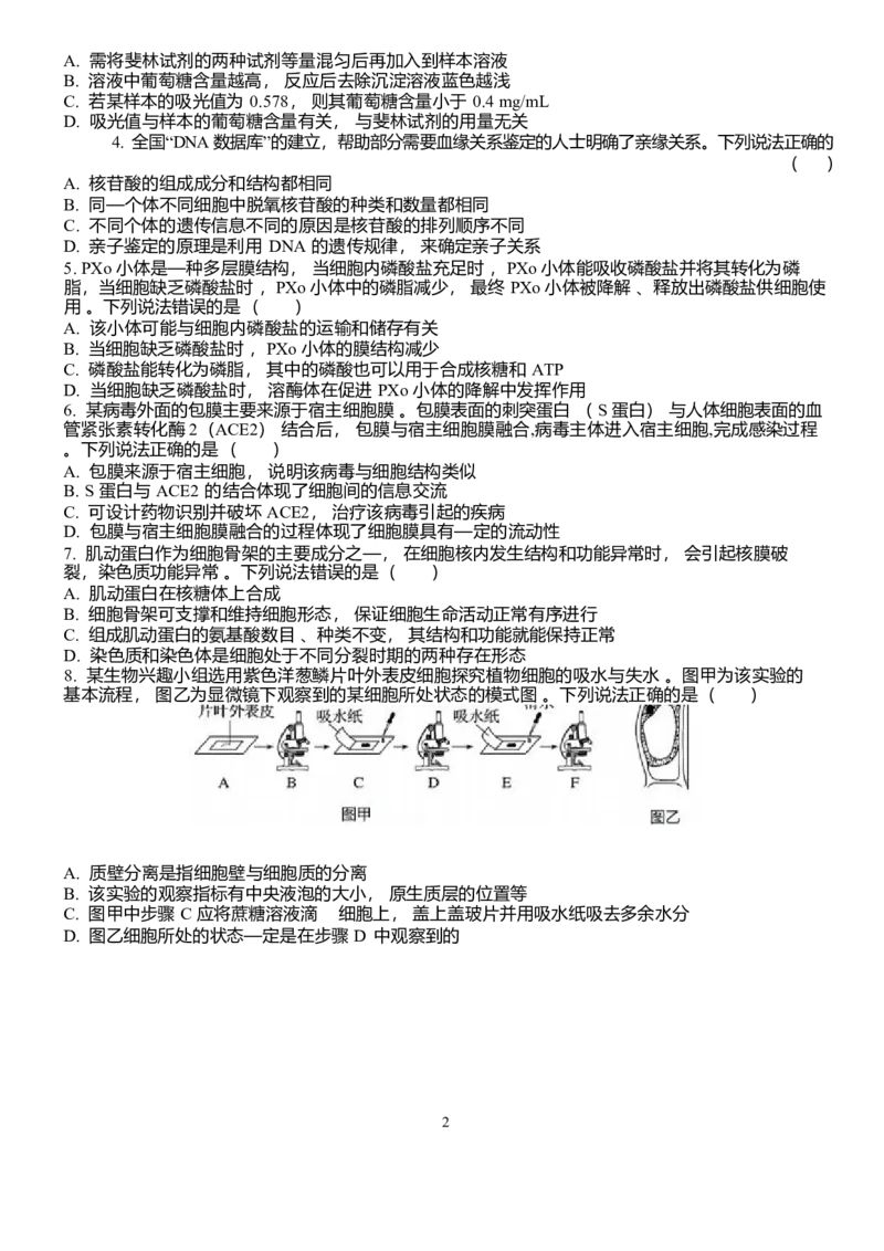 山东省泰安一中青年路校区2025-2026学年高一1月诊断性测试生物试题_2026年01月高一试卷_260118山东省泰安市第一中学（青年路校区）2025-2026学年高一上学期1月诊断性测试