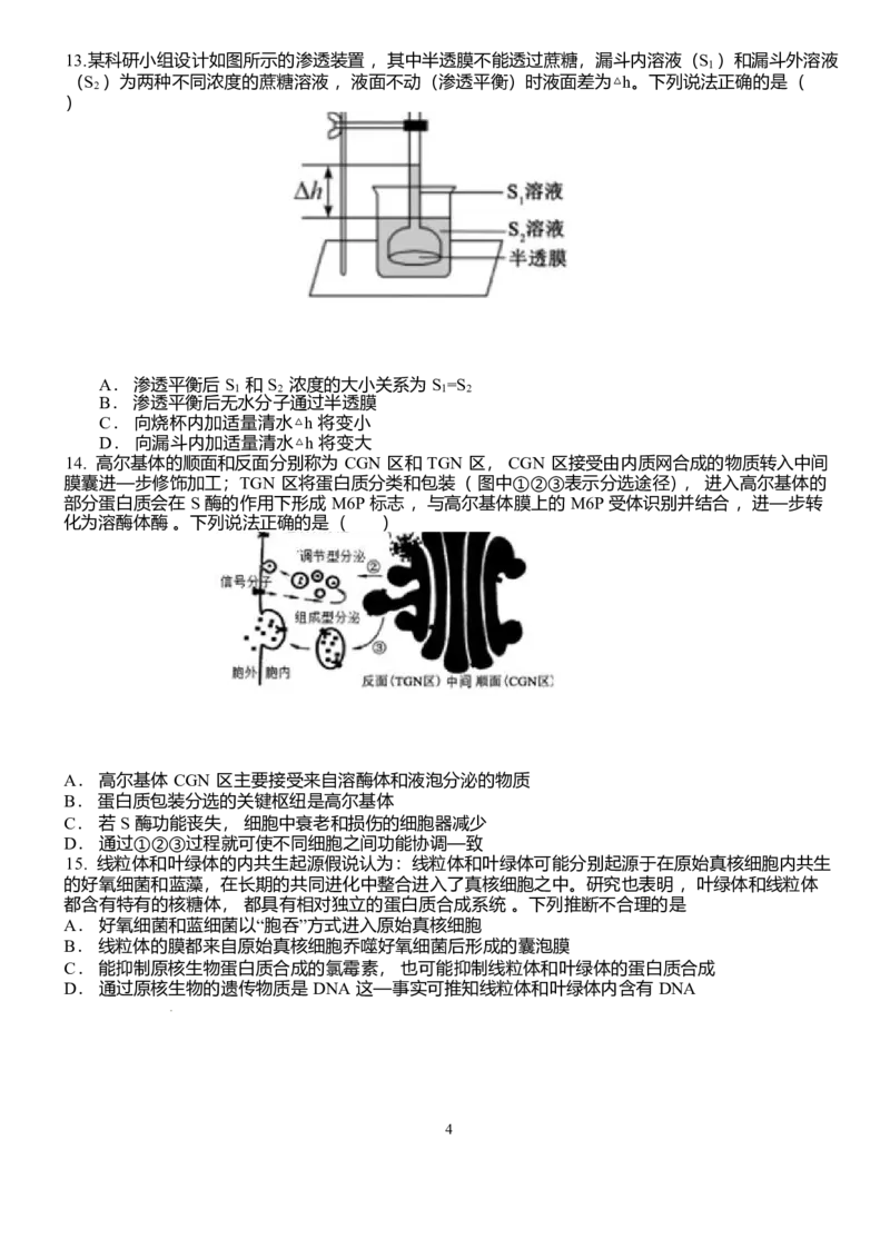 山东省泰安一中青年路校区2025-2026学年高一1月诊断性测试生物试题_2026年01月高一试卷_260118山东省泰安市第一中学（青年路校区）2025-2026学年高一上学期1月诊断性测试