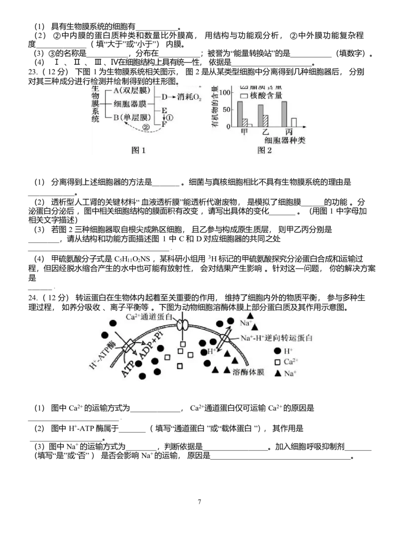 山东省泰安一中青年路校区2025-2026学年高一1月诊断性测试生物试题_2026年01月高一试卷_260118山东省泰安市第一中学（青年路校区）2025-2026学年高一上学期1月诊断性测试