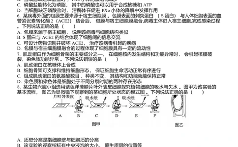 山东省泰安一中青年路校区2025-2026学年高一1月诊断性测试生物试题_2026年01月高一试卷_260118山东省泰安市第一中学（青年路校区）2025-2026学年高一上学期1月诊断性测试