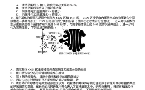 山东省泰安一中青年路校区2025-2026学年高一1月诊断性测试生物试题_2026年01月高一试卷_260118山东省泰安市第一中学（青年路校区）2025-2026学年高一上学期1月诊断性测试