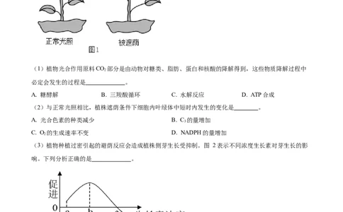 精品解析：2023届上海市黄埔区高三一模生物试题（解析版）_0122026上海中考一模二模真题试卷_2026年上海一模_上海1500初中高中试卷_高中_高三_模拟卷_生物