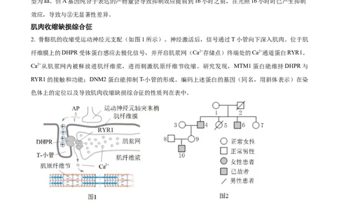 精品解析：2023届上海市黄埔区高三一模生物试题（解析版）_0122026上海中考一模二模真题试卷_2026年上海一模_上海1500初中高中试卷_高中_高三_模拟卷_生物