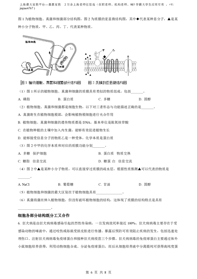 精品解析：上海市延安中学2022-2023学年高一上期末生物试题（原卷版）_0122026上海中考一模二模真题试卷_2026年上海一模_上海1500初中高中试卷_高中_高一_上学期_3：期末
