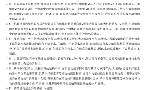 安徽省县中联盟2025-2026学年第一学期高一期中考试-生物答案_2025年11月高一试卷_251123安徽省县中联盟2025-2026学年第一学期高一期中考试（26-L-216A）（全）