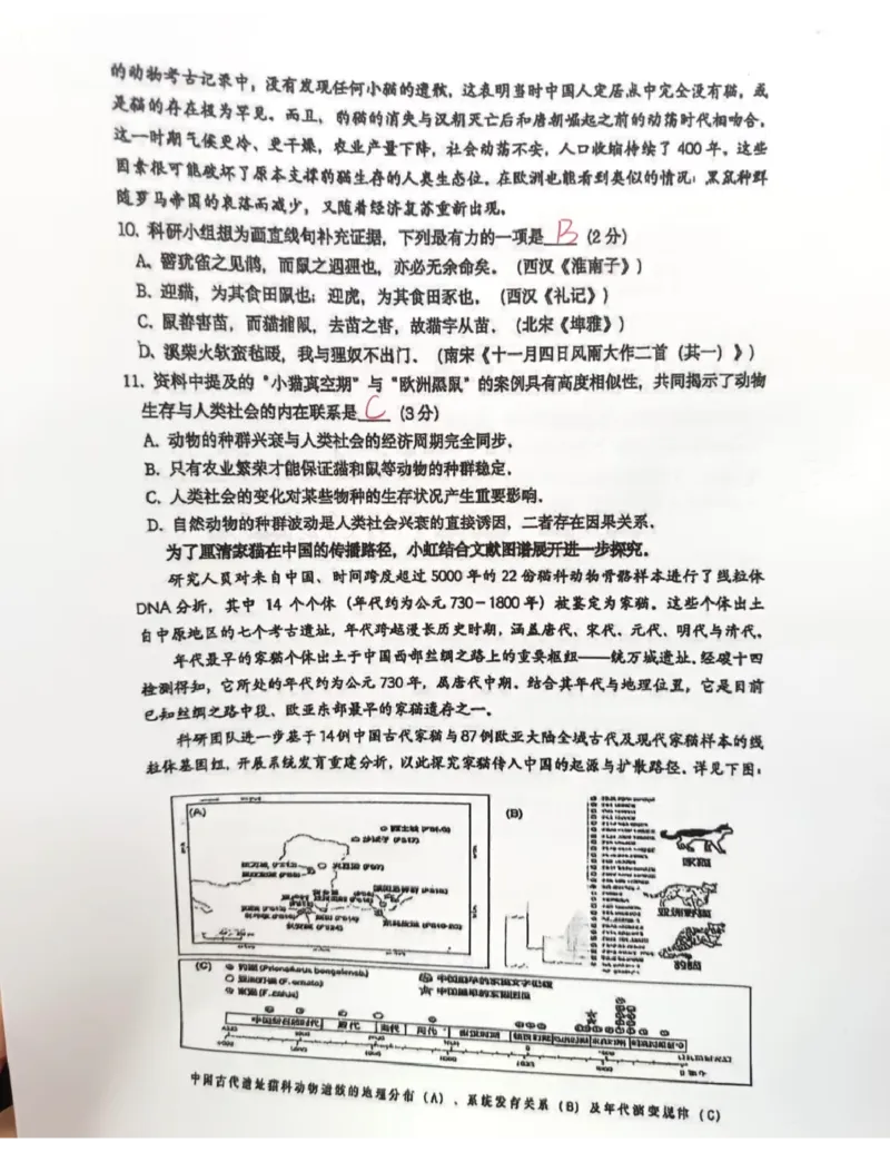 虹口二模语文答案（手写参考版）_0122026上海中考一模二模真题试卷_2026上海二模更新中1_虹口