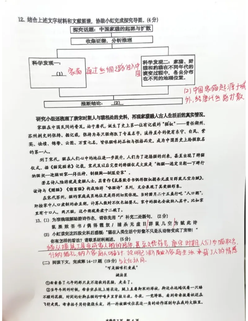 虹口二模语文答案（手写参考版）_0122026上海中考一模二模真题试卷_2026上海二模更新中1_虹口