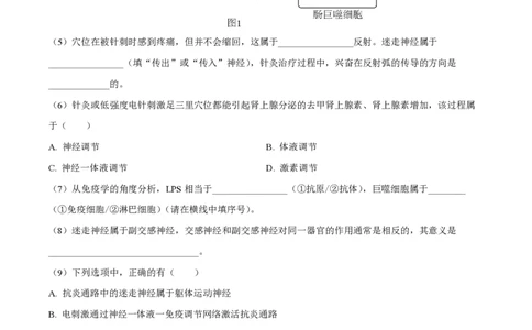 精品解析：上海市华东师范大学第二附属中学2023-2024学年高三9月月考生物试题（解析版）_0122026上海中考一模二模真题试卷_2026年上海一模_上海1500初中高中试卷_高中_高三_上学期