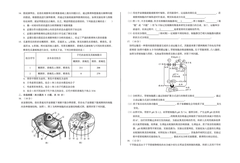 安徽省A10联盟2024-2025学年高一下学期3月阶段考生物试卷（含解析）_2025年04月试卷_0405安徽省A10联盟2024-2025学年高一下学期3月阶段考试