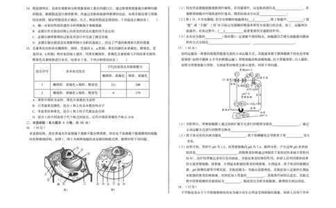 安徽省A10联盟2024-2025学年高一下学期3月阶段考生物试卷（含解析）_2025年04月试卷_0405安徽省A10联盟2024-2025学年高一下学期3月阶段考试