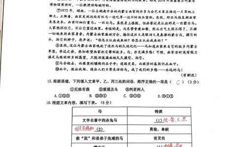 嘉定语文答案（手写参考版）_0122026上海中考一模二模真题试卷_2026上海二模更新中1_嘉定
