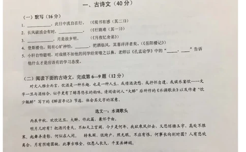 上海市黄浦区2019-2020学年初三第一学期期末调研测试（PDF无答案）_0122026上海中考一模二模真题试卷_2025-2012年_1.上海中考语文一模二模（14-24）_一模_赠PDF版