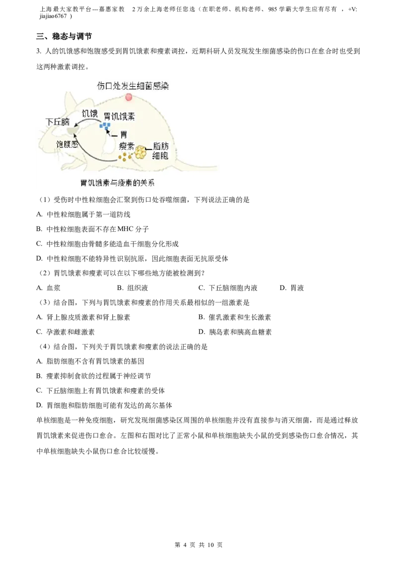 精品解析：上海市徐汇区2022~2023学年高三上学期第一次模拟考试生物试题（原卷版）_0122026上海中考一模二模真题试卷_2026年上海一模_上海1500初中高中试卷_高中_高三_模拟卷_生物