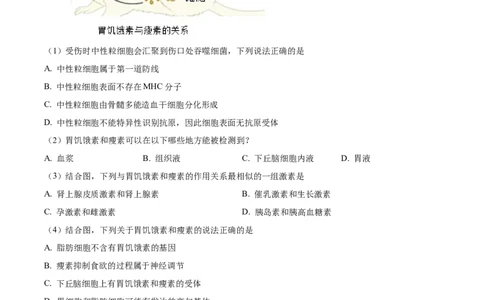 精品解析：上海市徐汇区2022~2023学年高三上学期第一次模拟考试生物试题（原卷版）_0122026上海中考一模二模真题试卷_2026年上海一模_上海1500初中高中试卷_高中_高三_模拟卷_生物