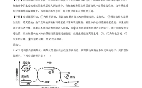精品解析：上海市华东师范大学第二附属中学2021-2022学年高二3月月考生命科学试题（解析版）_0122026上海中考一模二模真题试卷_2026年上海一模_上海1500初中高中试卷_高中_高一_下学期