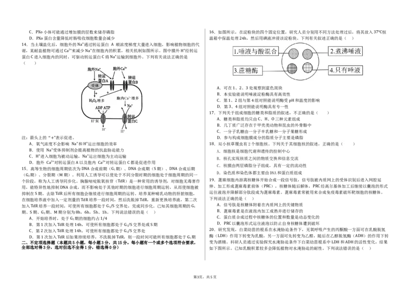 大庆铁人中学2024级高一下学期生物开学考试试题_2025年03月试卷_0316黑龙江省大庆铁人中学2024-2025学年高一下学期开学考试