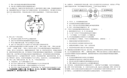 大庆铁人中学2024级高一下学期生物开学考试试题_2025年03月试卷_0316黑龙江省大庆铁人中学2024-2025学年高一下学期开学考试