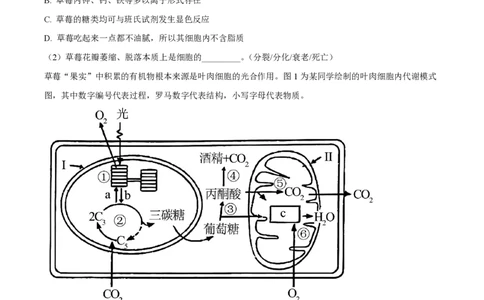 精品解析：上海市复旦大学附中2022-2023学年高二下学期期中等级性考试生物试题（解析版）_0122026上海中考一模二模真题试卷_2026年上海一模_上海1500初中高中试卷_高中_高二_下学期