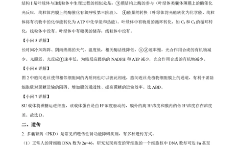 精品解析：上海市复旦大学附中2022-2023学年高二下学期期中等级性考试生物试题（解析版）_0122026上海中考一模二模真题试卷_2026年上海一模_上海1500初中高中试卷_高中_高二_下学期