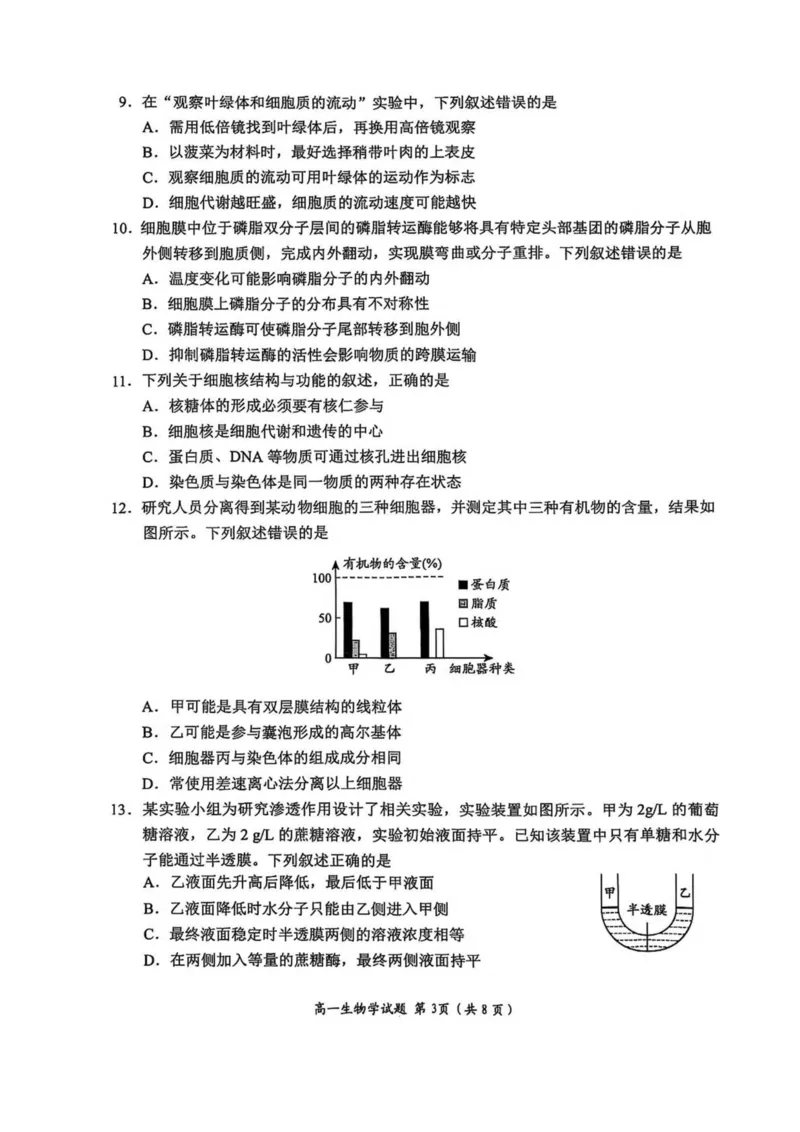 山东省日照市2025-2026学年高一上学期期中校际联合考试生物试卷(图片版含答案)_2025年12月高一试卷_251212山东省日照市2025-2026学年高一上学期期中校际联合考试（全）