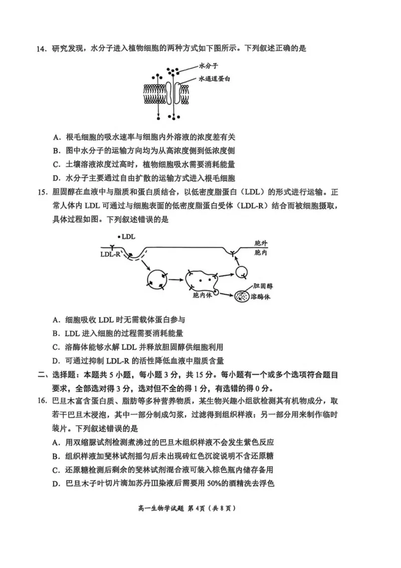 山东省日照市2025-2026学年高一上学期期中校际联合考试生物试卷(图片版含答案)_2025年12月高一试卷_251212山东省日照市2025-2026学年高一上学期期中校际联合考试（全）