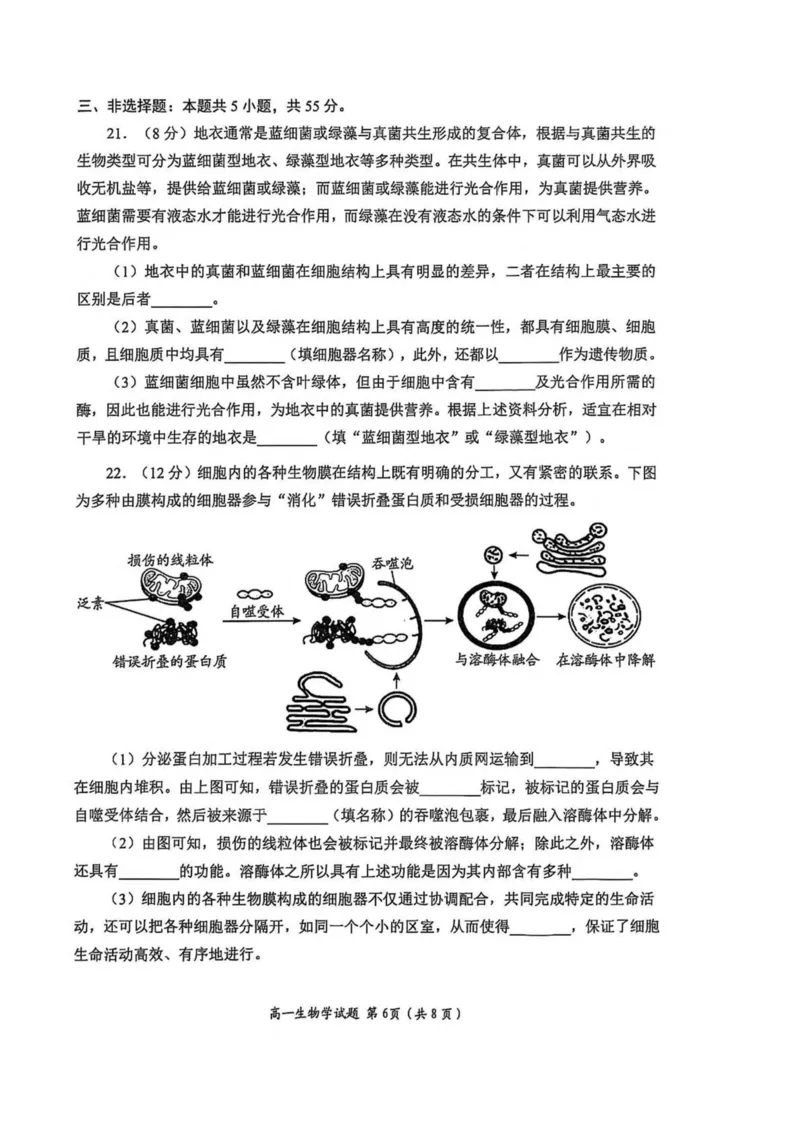 山东省日照市2025-2026学年高一上学期期中校际联合考试生物试卷(图片版含答案)_2025年12月高一试卷_251212山东省日照市2025-2026学年高一上学期期中校际联合考试（全）