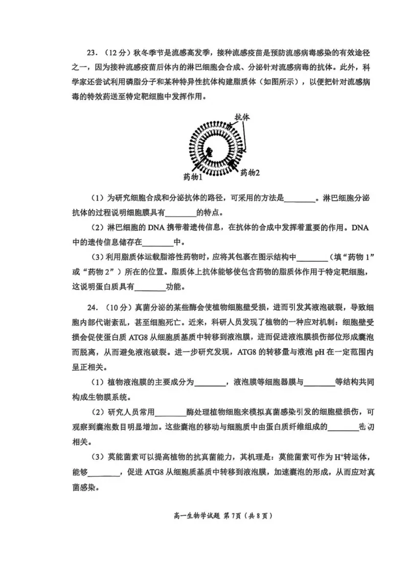 山东省日照市2025-2026学年高一上学期期中校际联合考试生物试卷(图片版含答案)_2025年12月高一试卷_251212山东省日照市2025-2026学年高一上学期期中校际联合考试（全）
