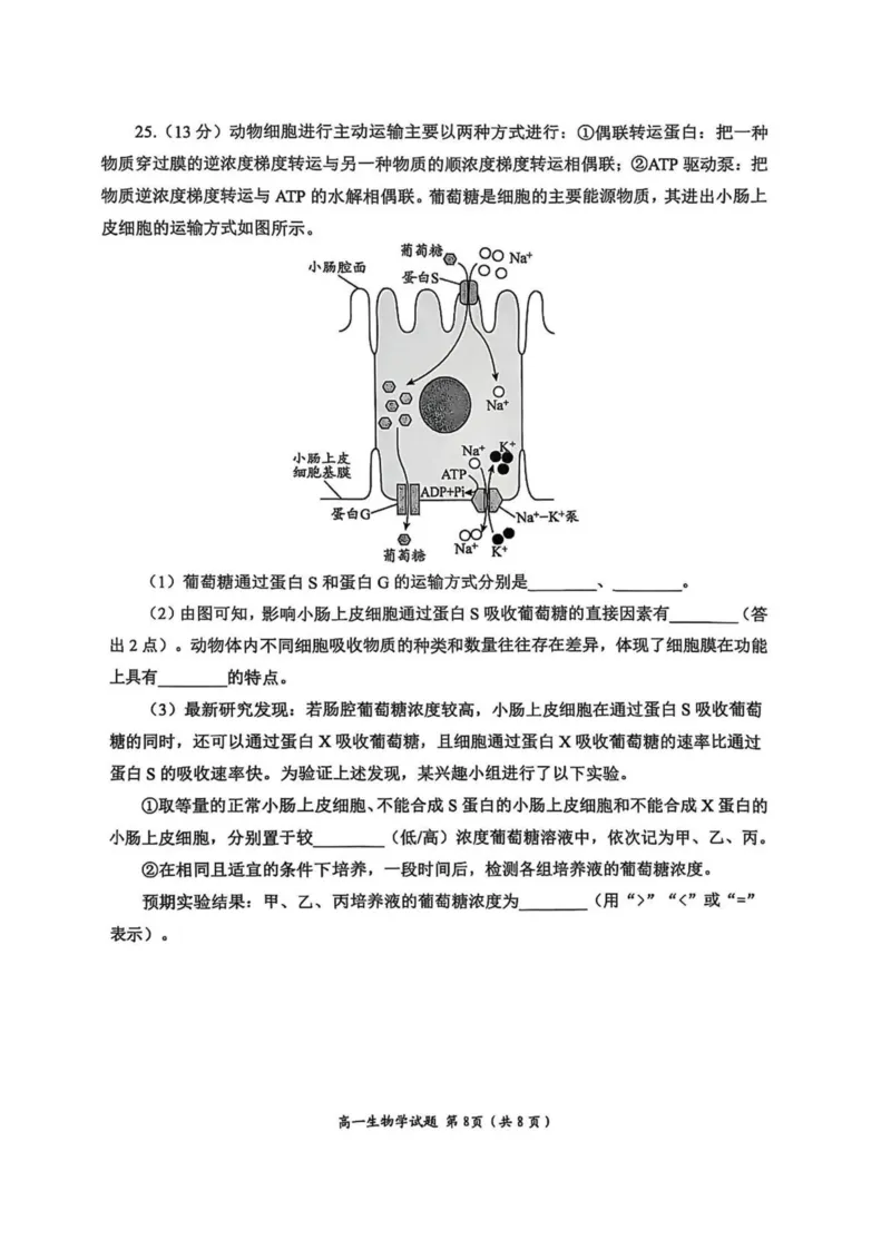 山东省日照市2025-2026学年高一上学期期中校际联合考试生物试卷(图片版含答案)_2025年12月高一试卷_251212山东省日照市2025-2026学年高一上学期期中校际联合考试（全）