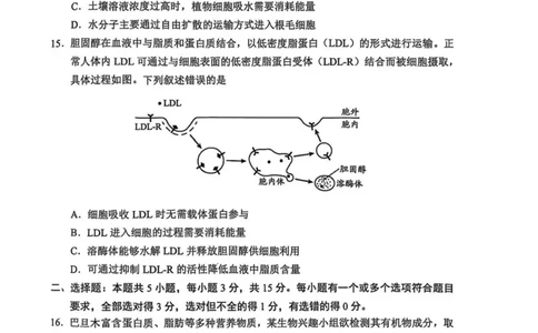 山东省日照市2025-2026学年高一上学期期中校际联合考试生物试卷(图片版含答案)_2025年12月高一试卷_251212山东省日照市2025-2026学年高一上学期期中校际联合考试（全）