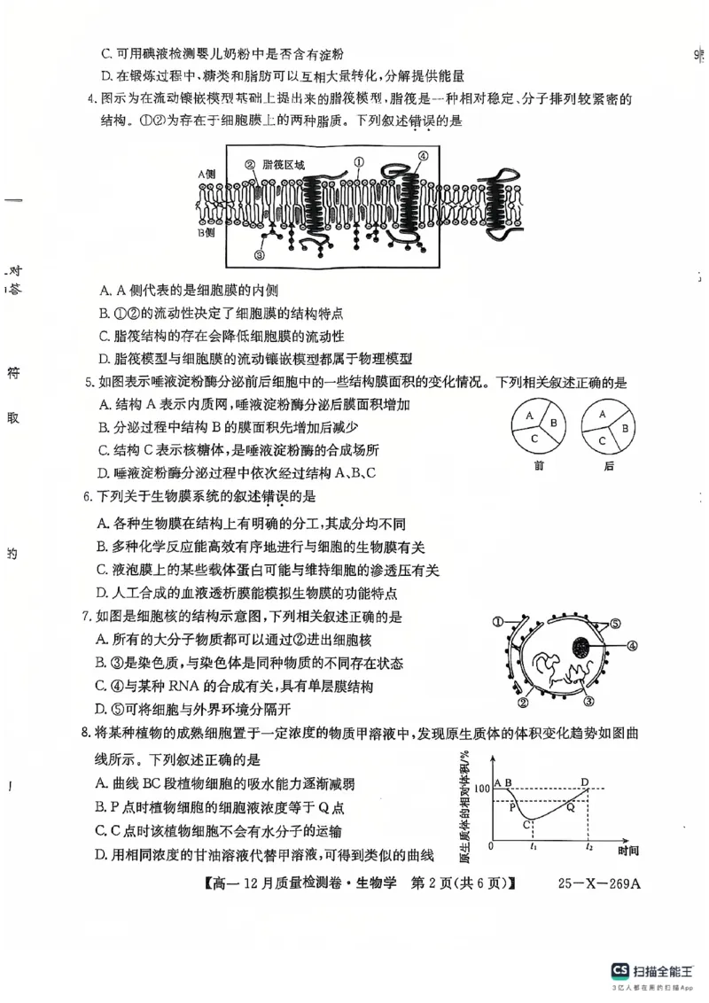 学年高一12月质量检测卷_生物学_2024年12月试卷_1229山西省三晋卓越联盟2024-2025学年高一上学期12月月考_山西省三晋卓越联盟2024-2025学年高一上学期12月月考生物试题PDF版含解析