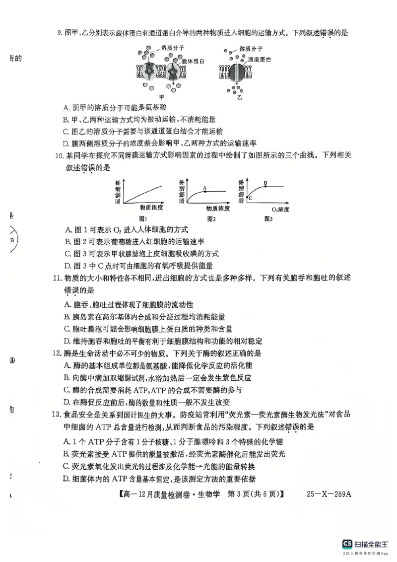 学年高一12月质量检测卷_生物学_2024年12月试卷_1229山西省三晋卓越联盟2024-2025学年高一上学期12月月考_山西省三晋卓越联盟2024-2025学年高一上学期12月月考生物试题PDF版含解析