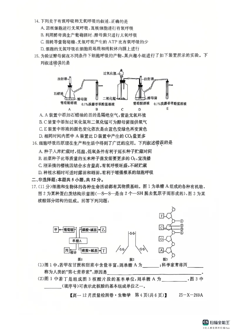 学年高一12月质量检测卷_生物学_2024年12月试卷_1229山西省三晋卓越联盟2024-2025学年高一上学期12月月考_山西省三晋卓越联盟2024-2025学年高一上学期12月月考生物试题PDF版含解析