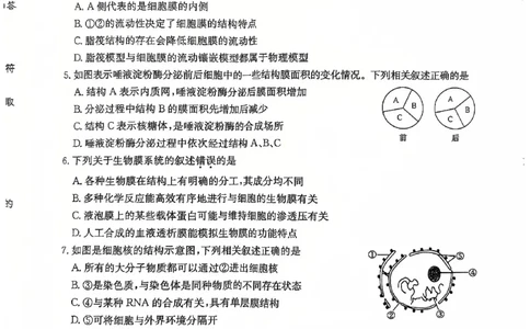 学年高一12月质量检测卷_生物学_2024年12月试卷_1229山西省三晋卓越联盟2024-2025学年高一上学期12月月考_山西省三晋卓越联盟2024-2025学年高一上学期12月月考生物试题PDF版含解析