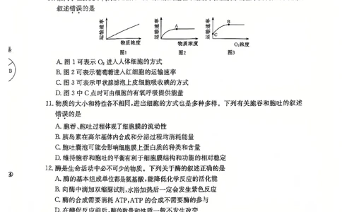学年高一12月质量检测卷_生物学_2024年12月试卷_1229山西省三晋卓越联盟2024-2025学年高一上学期12月月考_山西省三晋卓越联盟2024-2025学年高一上学期12月月考生物试题PDF版含解析
