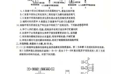 学年高一12月质量检测卷_生物学_2024年12月试卷_1229山西省三晋卓越联盟2024-2025学年高一上学期12月月考_山西省三晋卓越联盟2024-2025学年高一上学期12月月考生物试题PDF版含解析