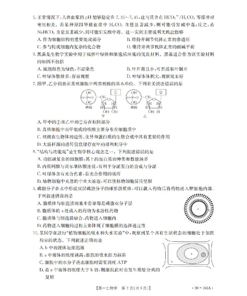 安徽省2025-2026学年高一上学期12月月考（26-161A）生物_2026年01月高一试卷_260117金太阳&middot;安徽省2025-2026学年高一上学期12月月考（26-161A）（全）