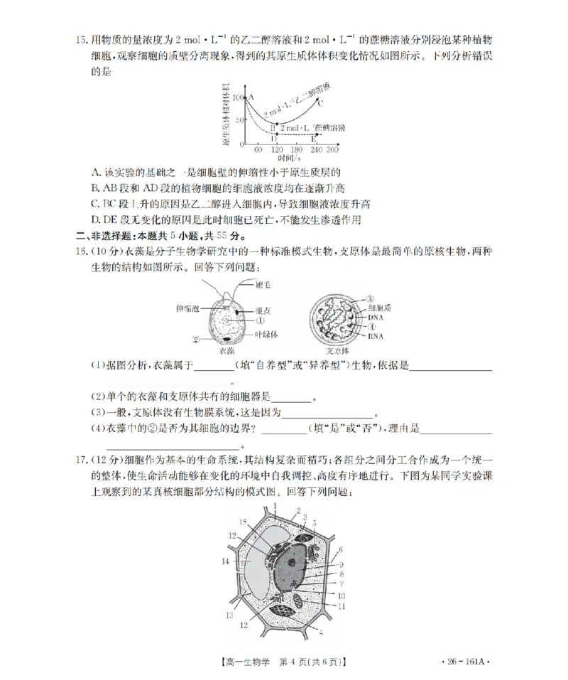 安徽省2025-2026学年高一上学期12月月考（26-161A）生物_2026年01月高一试卷_260117金太阳&middot;安徽省2025-2026学年高一上学期12月月考（26-161A）（全）
