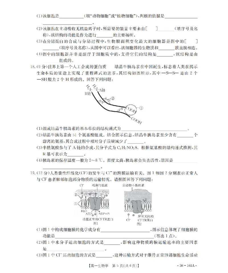 安徽省2025-2026学年高一上学期12月月考（26-161A）生物_2026年01月高一试卷_260117金太阳&middot;安徽省2025-2026学年高一上学期12月月考（26-161A）（全）