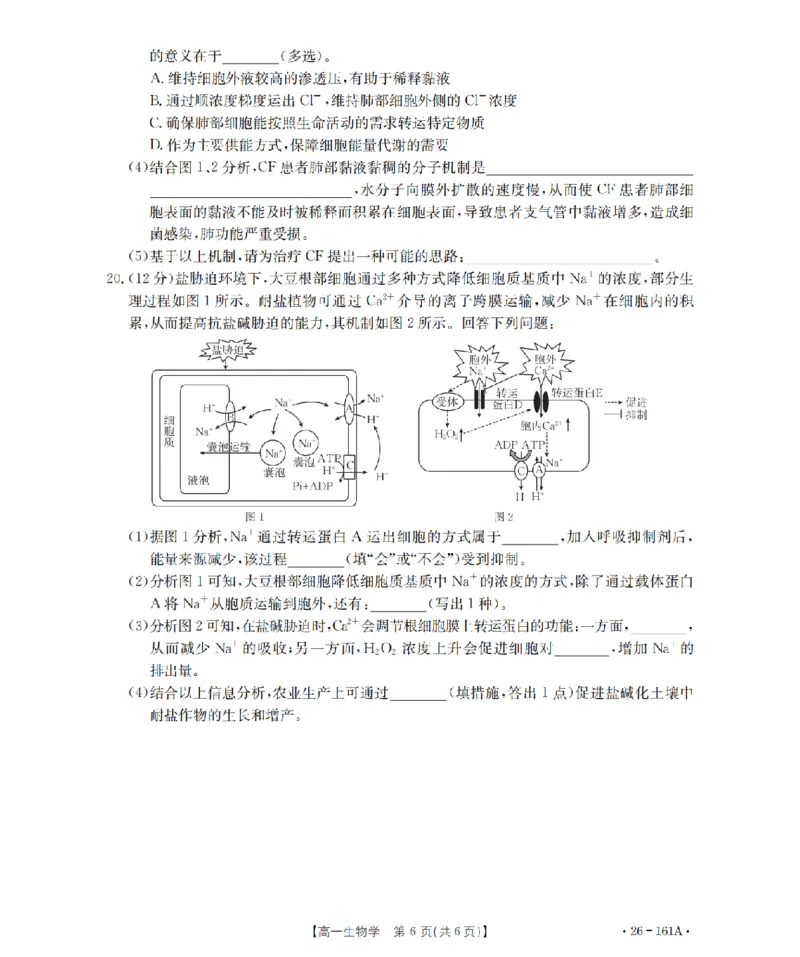 安徽省2025-2026学年高一上学期12月月考（26-161A）生物_2026年01月高一试卷_260117金太阳&middot;安徽省2025-2026学年高一上学期12月月考（26-161A）（全）