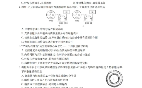 安徽省2025-2026学年高一上学期12月月考（26-161A）生物_2026年01月高一试卷_260117金太阳&middot;安徽省2025-2026学年高一上学期12月月考（26-161A）（全）