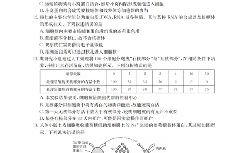 安徽省2025-2026学年高一上学期12月月考（26-161A）生物_2026年01月高一试卷_260117金太阳&middot;安徽省2025-2026学年高一上学期12月月考（26-161A）（全）