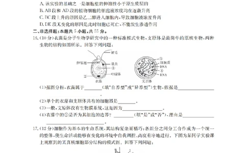 安徽省2025-2026学年高一上学期12月月考（26-161A）生物_2026年01月高一试卷_260117金太阳&middot;安徽省2025-2026学年高一上学期12月月考（26-161A）（全）