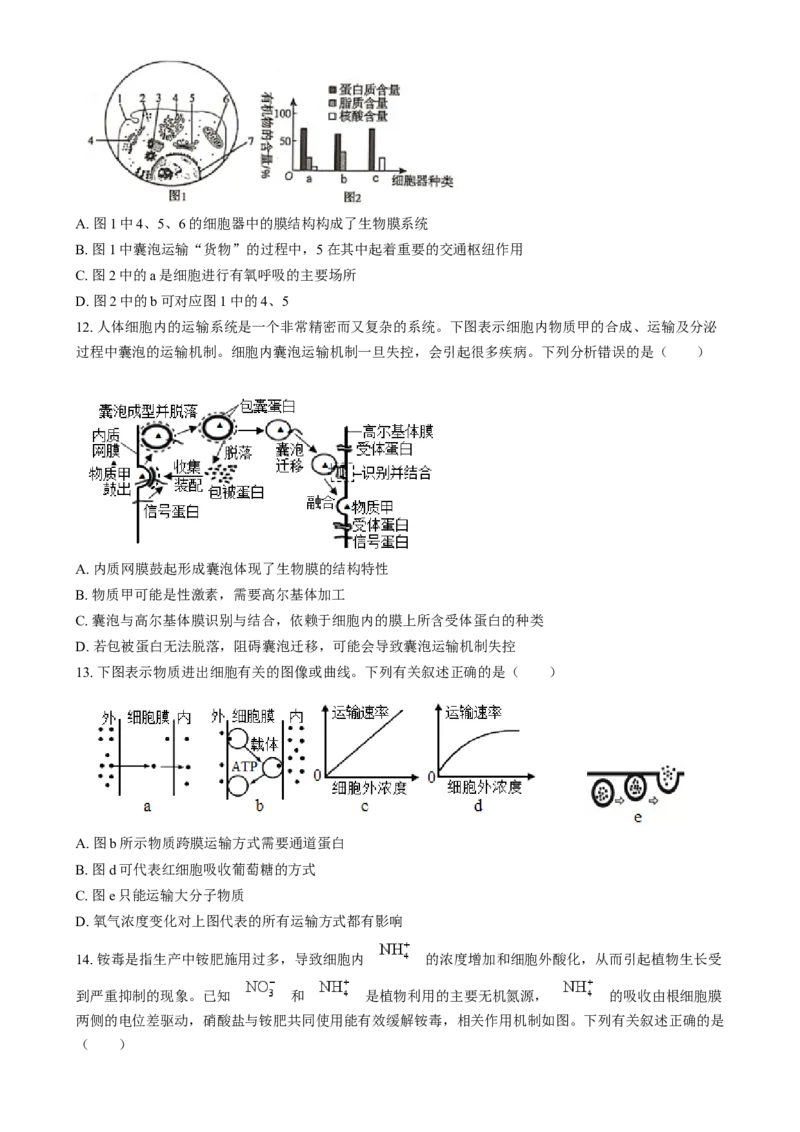 安徽省江南十校2024-2025学年高一上学期12月分科诊断联考生物试题Word版无答案_2025年01月试卷_0112安徽省江南十校2024-2025学年高一上学期12月份分科诊断考试