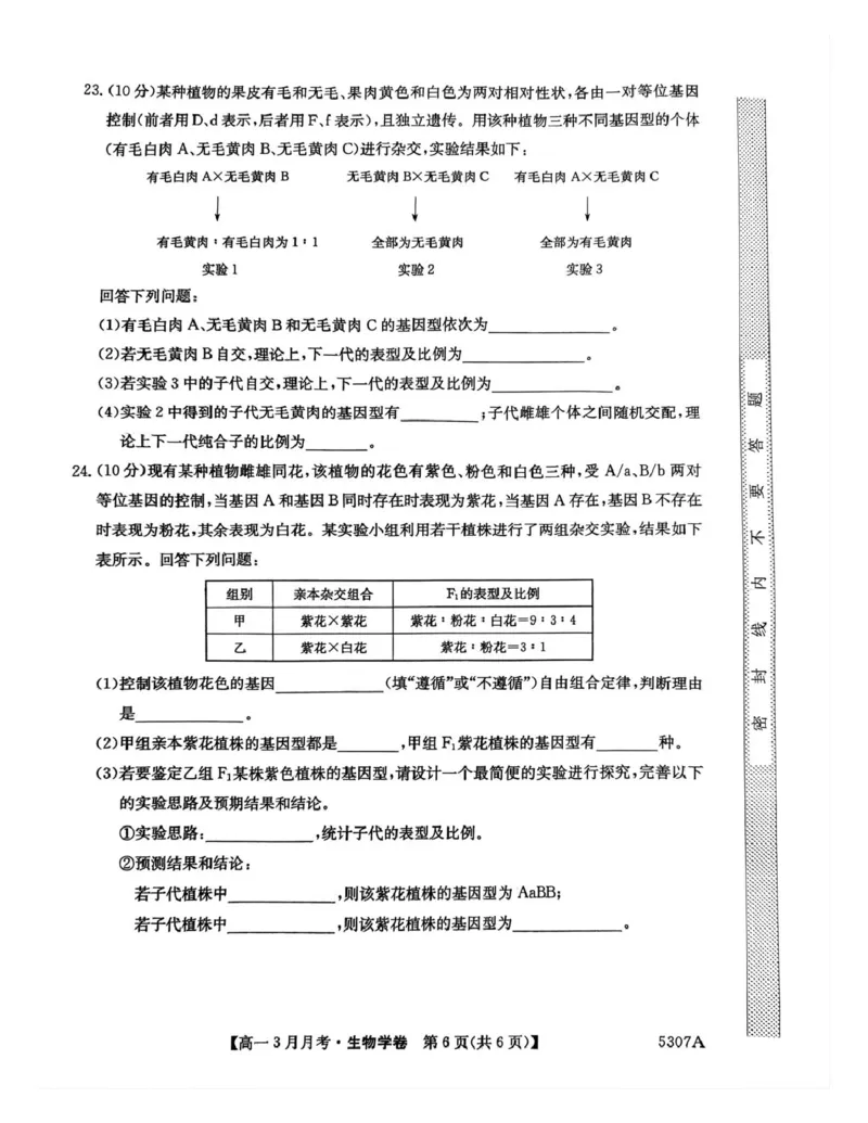 安徽省蚌埠市固镇县毛钽厂实验中学2024-2025学年高一下学期3月月考生物试题_2025年03月试卷_0322安徽省蚌埠市固镇县毛钽厂实验中学2024-2025学年高一下学期3月月考