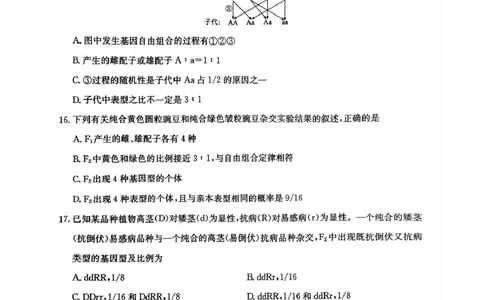 安徽省蚌埠市固镇县毛钽厂实验中学2024-2025学年高一下学期3月月考生物试题_2025年03月试卷_0322安徽省蚌埠市固镇县毛钽厂实验中学2024-2025学年高一下学期3月月考