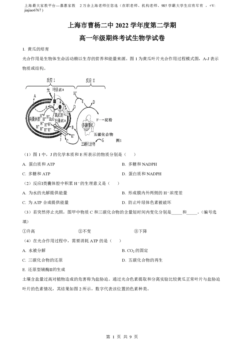 精品解析：上海市曹杨二中2022-2023学年高一下学期期末生物试题（原卷版）_0122026上海中考一模二模真题试卷_2026年上海一模_上海1500初中高中试卷_高中_高一_下学期_3：期末