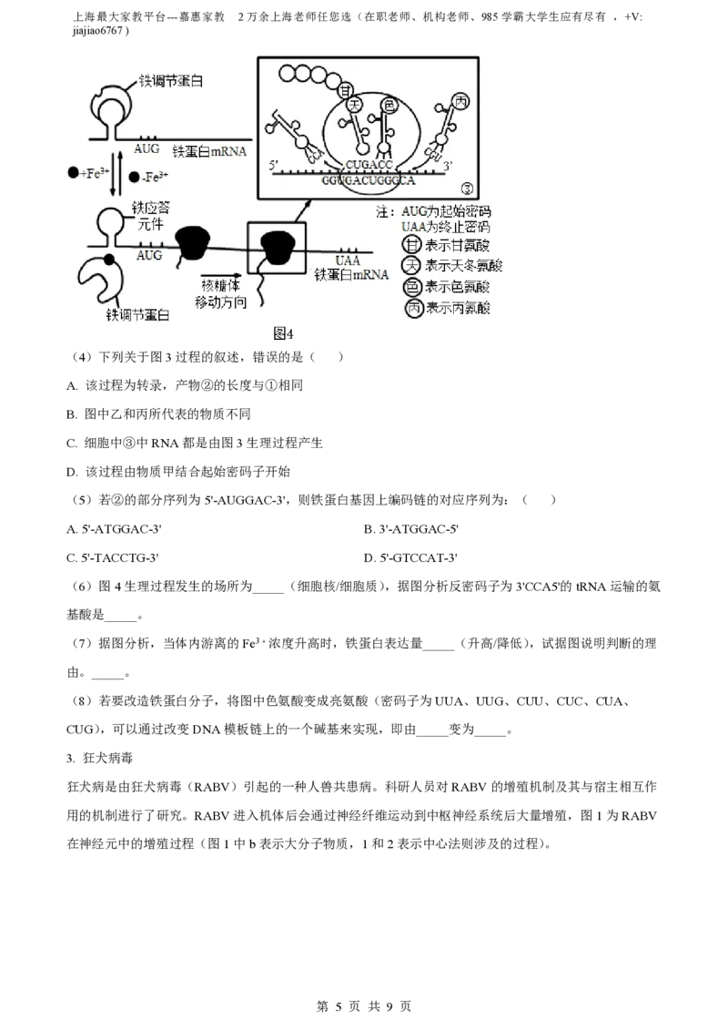 精品解析：上海市曹杨二中2022-2023学年高一下学期期末生物试题（原卷版）_0122026上海中考一模二模真题试卷_2026年上海一模_上海1500初中高中试卷_高中_高一_下学期_3：期末