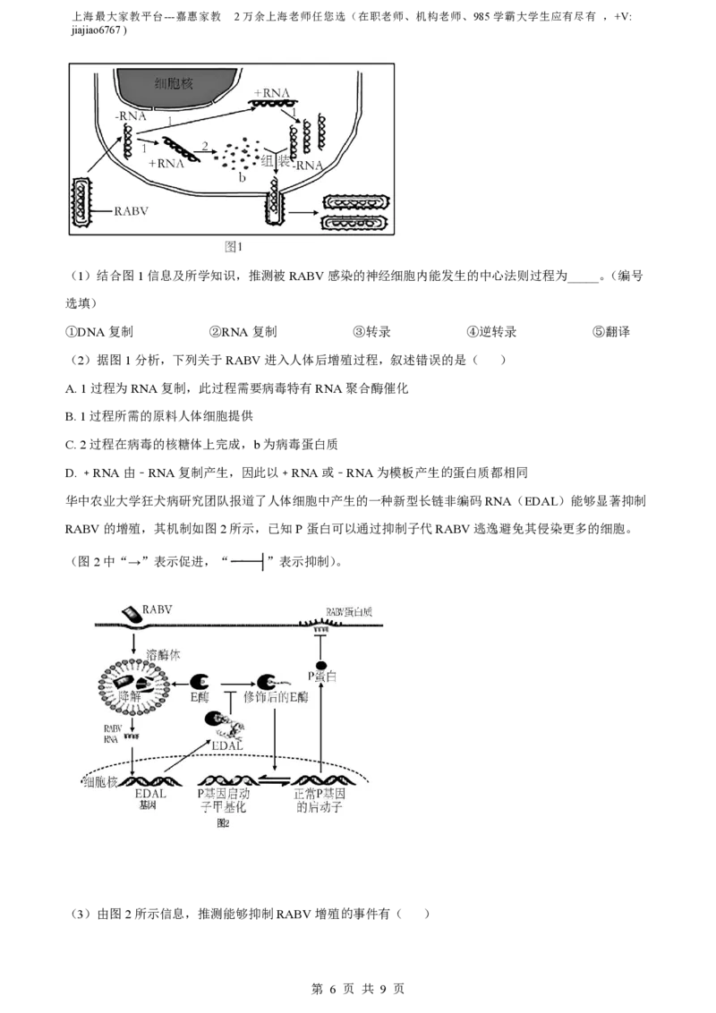 精品解析：上海市曹杨二中2022-2023学年高一下学期期末生物试题（原卷版）_0122026上海中考一模二模真题试卷_2026年上海一模_上海1500初中高中试卷_高中_高一_下学期_3：期末
